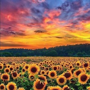 Meet your Posher, Dania